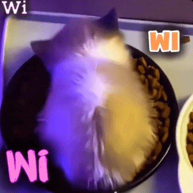 Wi Wi Wi Cat Obby icon