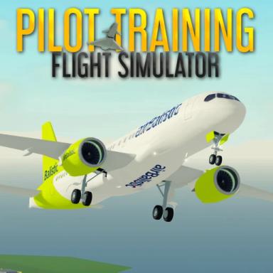 Thumbnail for Pilot Training Flight Simulator Game