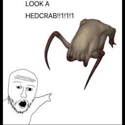 Headcrab Infection (BETA) (SMALL UPDATE) icon