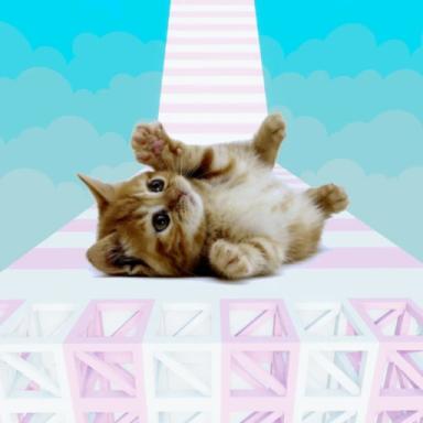 Cute Kitten Obby 🐾 icon