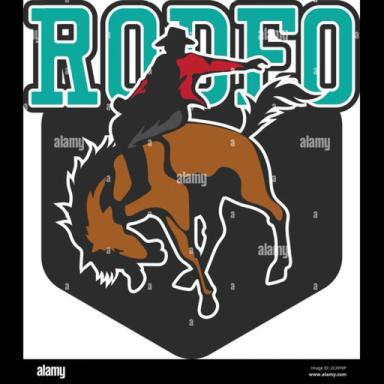 Thumbnail for rocket rodeo Game