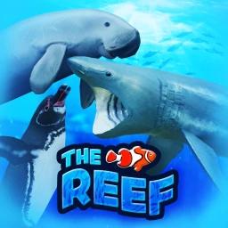 🎏 UPDATE! | 🐬THE REEF🦈 - Shark, Fish, Dolphin  icon