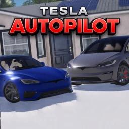 Tesla Autopilot icon