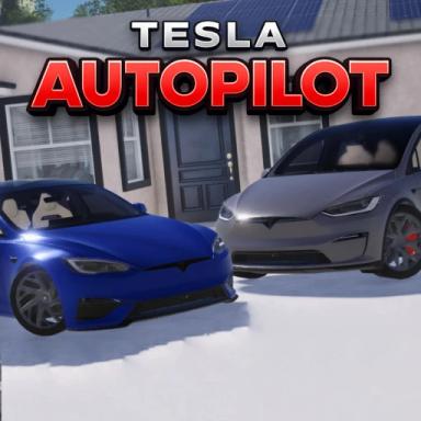 Thumbnail for Tesla Autopilot  Game