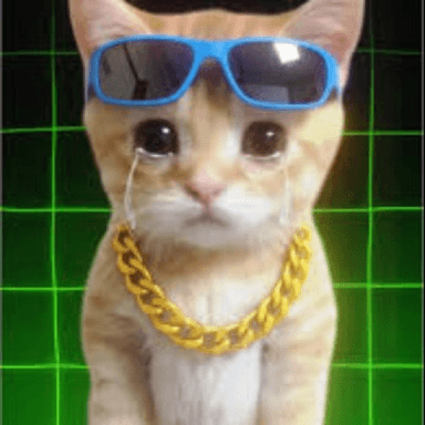 🐈 AY MI GATITO ELEVATOR 🐱  icon