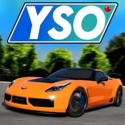 (🔑 CARS & KEY SYSTEM) Young Street, Ontario Beta  icon