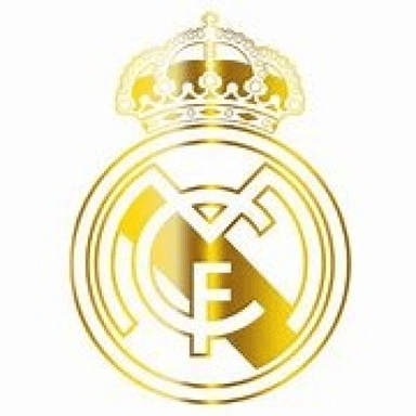 real madrid stadium icon