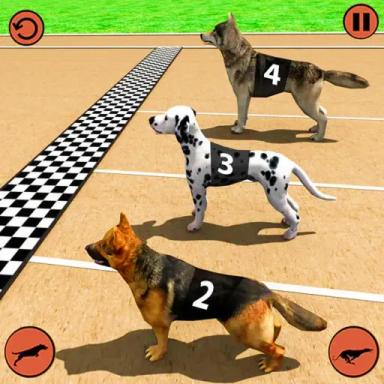 Pet Race  icon