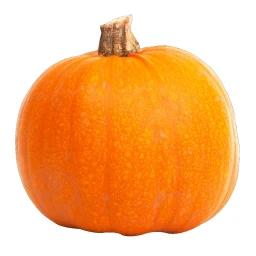 [1M] pumpkin icon