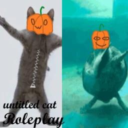 untitled cat roleplay icon