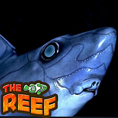 Thumbnail for SOON | 🐠🪸THE REEF🐬🪸 Game