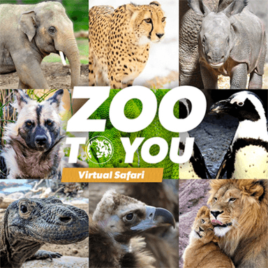 Thumbnail for My Zoo. Game