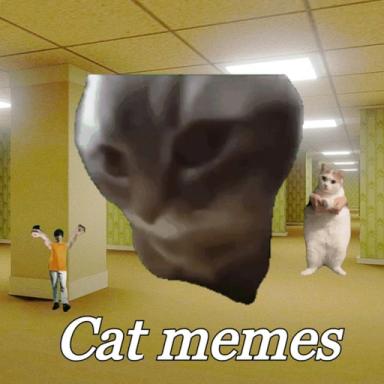 The cat memes rooms🙀 icon