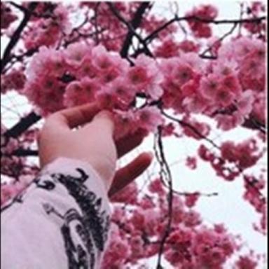 🌸 icon