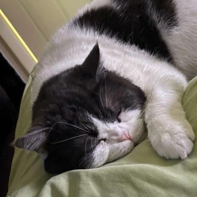 Smush's World icon