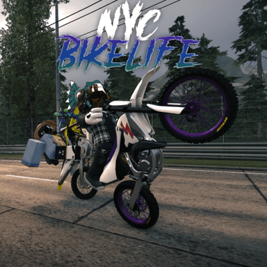 🌲Upstate NYC -  Realistic BikeLife icon