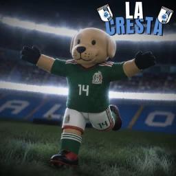 Thumbnail for The Crest: Soccer Touch  Game