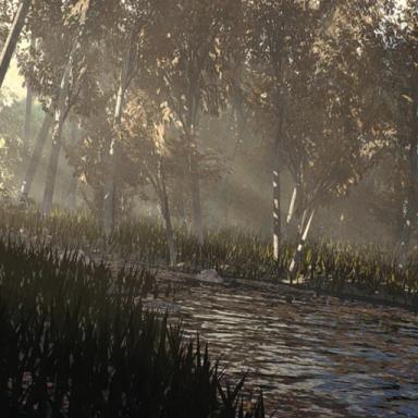 Summer Forest icon