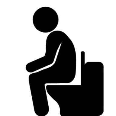 My Perfect Toilet icon