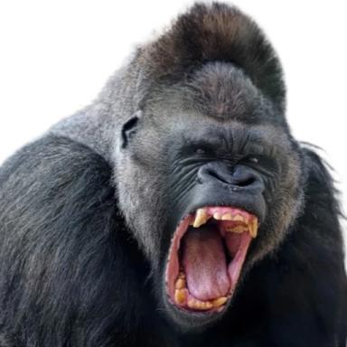 Thumbnail for Humans vs Gorilla Game