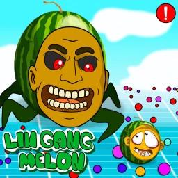 Lin Gang Melon.io [NEW] icon