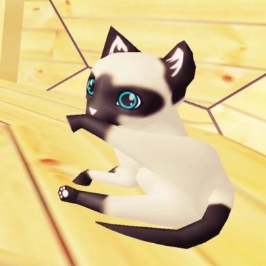Thumbnail for Cats in Finland Game