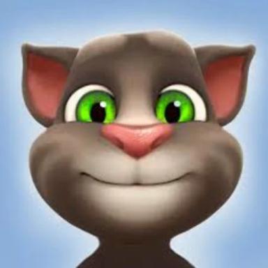 Talking Tom icon