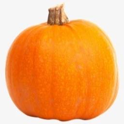 pumpkin icon