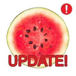 watermelon! icon