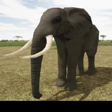 safari icon