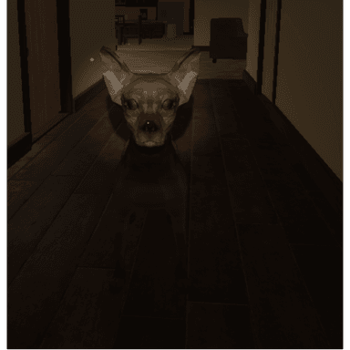 Creepy Dog  icon