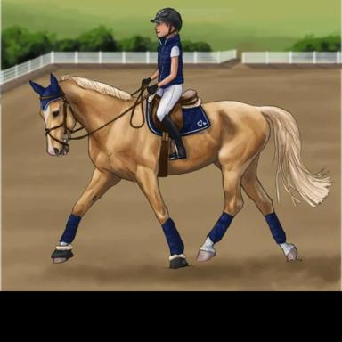 ~Sunny Hills Riding Acadmy~ icon