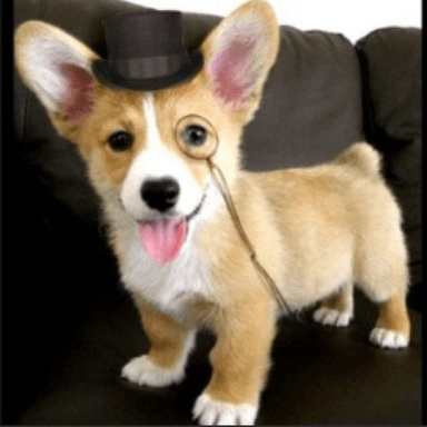 My obby icon