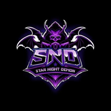 SND PARTY TO NIGHT icon