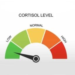 Thumbnail for Jump Into Low Cortisol Game
