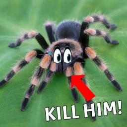 Thumbnail for [UPD] KILL SPIDERS Game