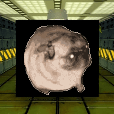Dancing Pug Meme In Area 51 icon