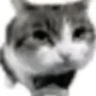 KJCT icon