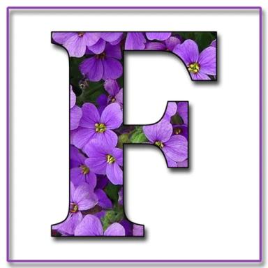 Letter F icon