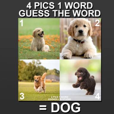 ❓Guess The Word - 4 Pics 1 Word  icon