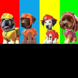 Dog Patol RP (UPDATE) icon