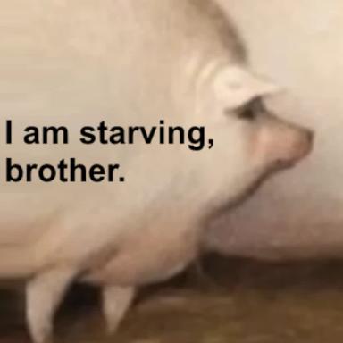 Thumbnail for Brother, may I have some oats..? Game