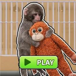 🐵 Punch The Monkey Prison Run! (OBBY) icon