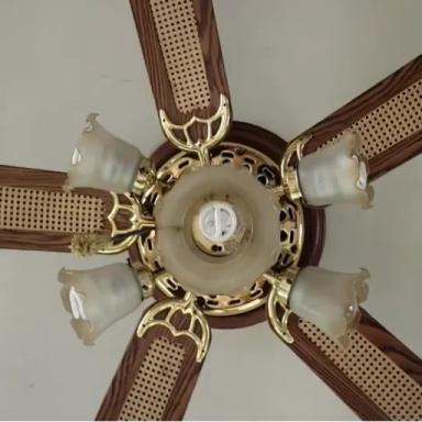 Destroy Ceiling Fans icon