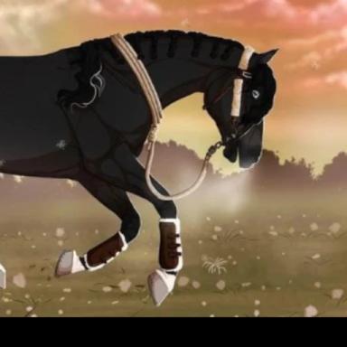 Riding a horse! Come and RIDE! icon