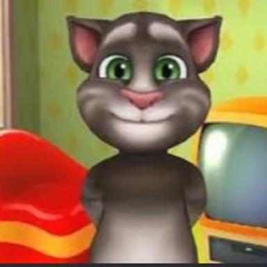 Talking Tom & his Friends maps icon