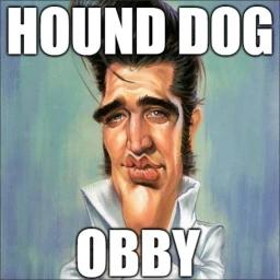 HOUND DOG OBBY icon