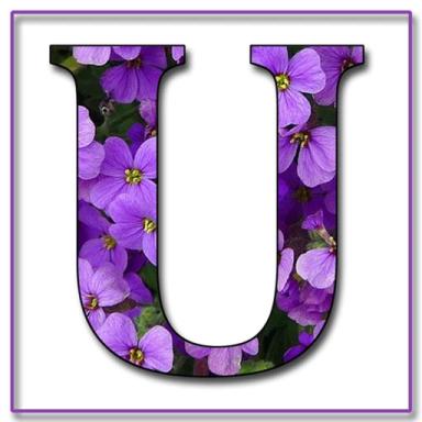 Letter U icon