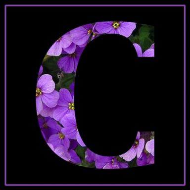 Letter C icon