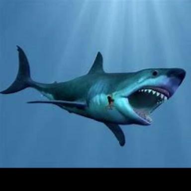 SCP-7890 [Shark] icon